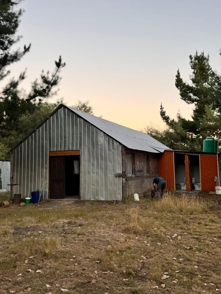 WhatsApp Image 2025-03-26 at 21.45.29